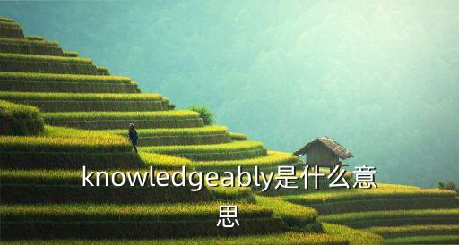 knowledgeably是什么意思