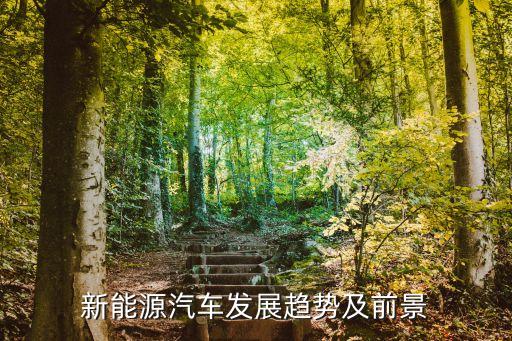 新能源汽車發(fā)展趨勢(shì)及前景