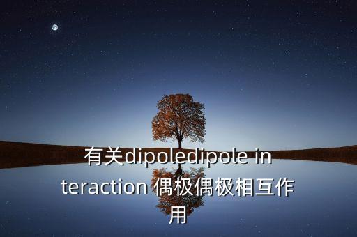 有關(guān)dipoledipole interaction 偶極偶極相互作用