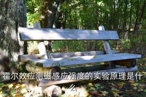 霍爾效應(yīng)測磁感應(yīng)強(qiáng)度的實(shí)驗(yàn)原理是什么