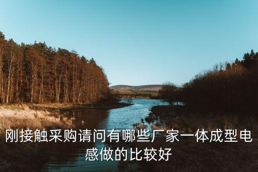 剛接觸采購請問有哪些廠家一體成型電感做的比較好
