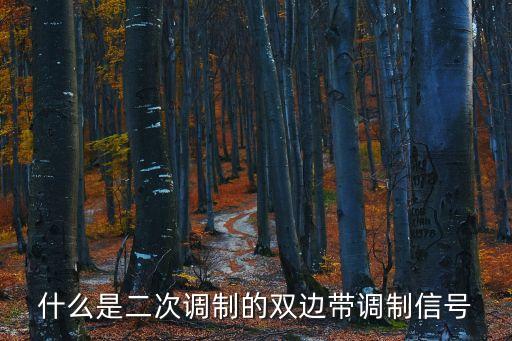 什么是二次調制的雙邊帶調制信號