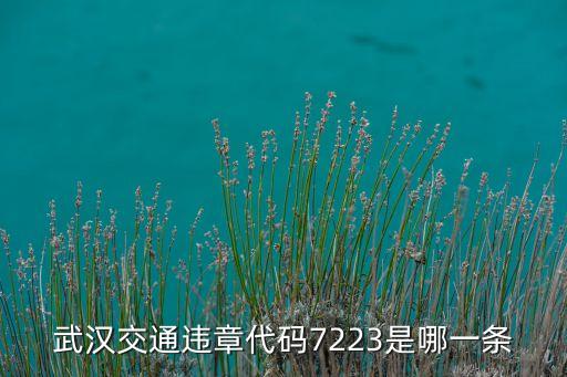 武漢交通違章代碼7223是哪一條