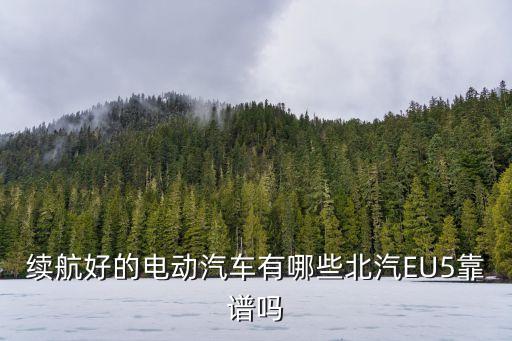 新能源汽車有哪些，哪款純電動車性價(jià)比最高