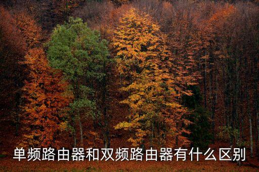 單頻路由器和雙頻路由器有什么區(qū)別