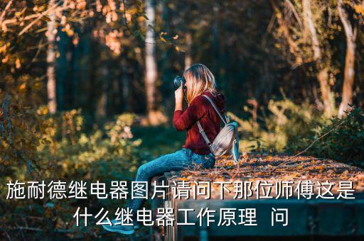 施耐德繼電器圖片請問下那位師傅這是什么繼電器工作原理  問