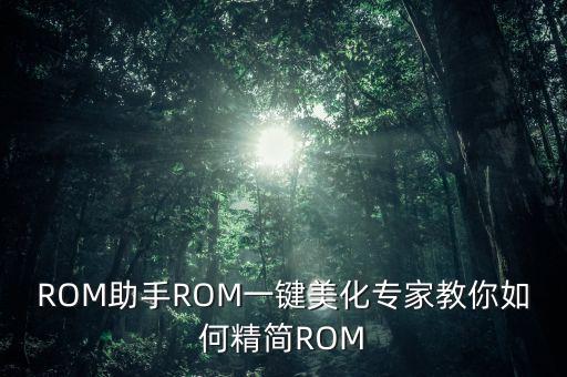 ROM助手ROM一鍵美化專家教你如何精簡ROM
