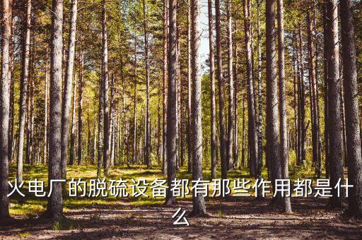 火電廠的脫硫設備都有那些作用都是什么