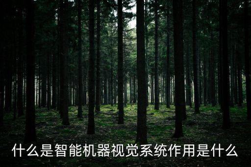機(jī)器視覺系統(tǒng)，機(jī)器人視覺系統(tǒng)的硬件和軟件組成成分有哪些