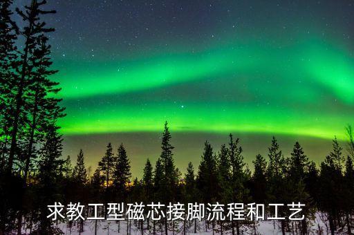 求教工型磁芯接腳流程和工藝