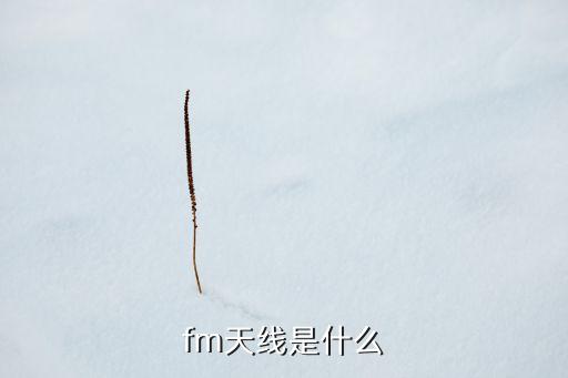 FM天線，哪里有FM調(diào)頻天線賣