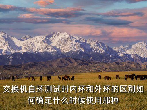 交換機自環(huán)測試時內環(huán)和外環(huán)的區(qū)別如何確定什么時候使用那種