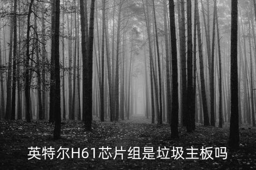 h61芯片組，英特爾H61芯片組是垃圾主板嗎