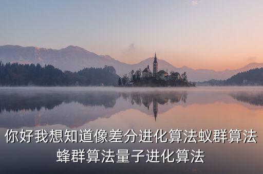 你好我想知道像差分進(jìn)化算法蟻群算法蜂群算法量子進(jìn)化算法