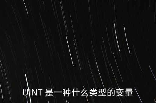 UINT 是一種什么類型的變量