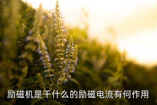 勵(lì)磁機(jī)，勵(lì)磁機(jī)工作原理