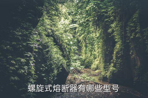 螺旋式熔斷器有哪些型號