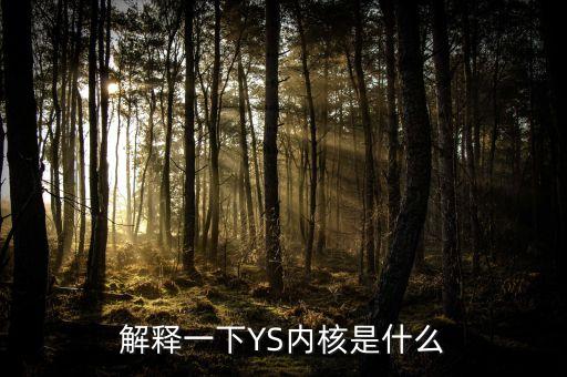 解釋一下YS內(nèi)核是什么