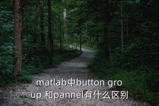 matlab中button group 和pannel有什么區(qū)別