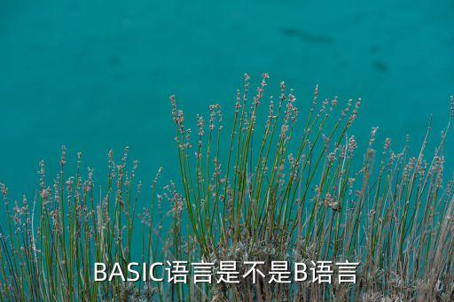 BASIC語言是不是B語言