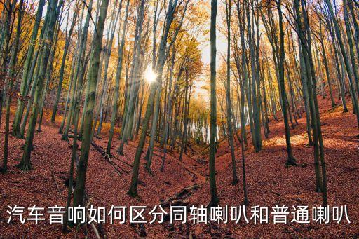 同軸喇叭，什么叫同軸喇叭