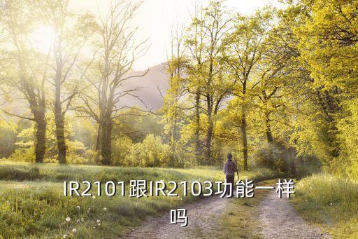 IR2101跟IR2103功能一樣嗎
