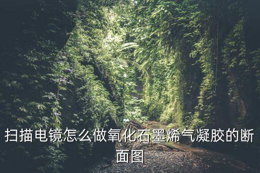 石墨烯氣凝膠，掃描電鏡怎么做氧化石墨烯氣凝膠的斷面圖