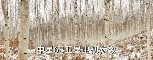 中星6b，中星6b星空衛(wèi)視參數(shù)