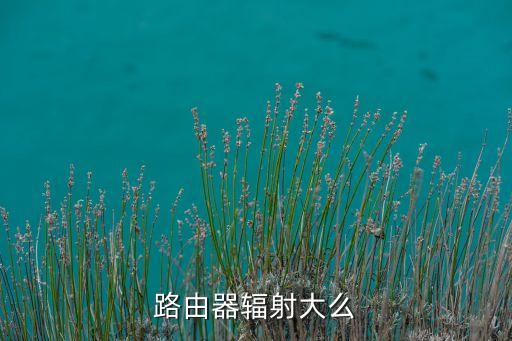 路由器輻射大么