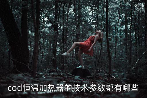 cod恒溫加熱器的技術(shù)參數(shù)都有哪些