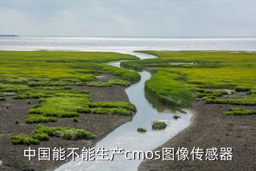 國產(chǎn)cmos，國產(chǎn)手機(jī)和國外手機(jī)都是cmos境頭但是國產(chǎn)的效果還是垃圾嗎