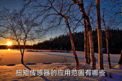 扭矩傳感器的應(yīng)用范圍有哪些