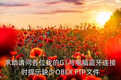 求助請(qǐng)問(wèn)各位我的G1與電腦藍(lán)牙連接時(shí)提示缺少OBEX FTP文件
