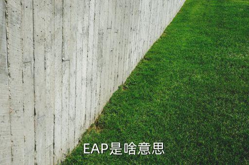 EAP是啥意思