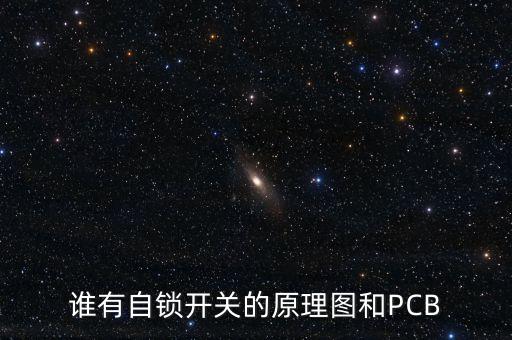 誰有自鎖開關(guān)的原理圖和PCB