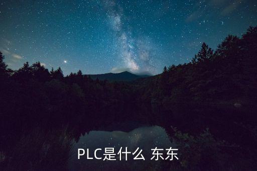 PLC是什么 東東