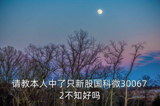 請(qǐng)教本人中了只新股國(guó)科微300672不知好嗎