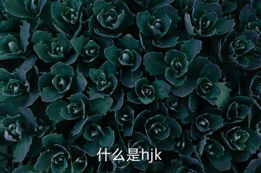 什么是hjk