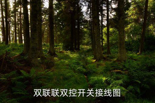 雙聯(lián)聯(lián)雙控開關(guān)接線圖
