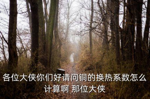 各位大俠你們好請問銅的換熱系數(shù)怎么計算啊 那位大俠