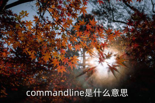 commandline，COMMANDLINE是什么意思啊