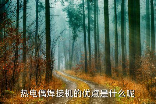 熱電偶焊接機(jī)的優(yōu)點(diǎn)是什么呢