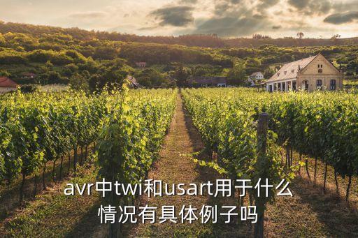 avr中twi和usart用于什么情況有具體例子嗎