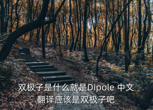 雙極子是什么就是Dipole 中文翻譯應(yīng)該是雙極子吧