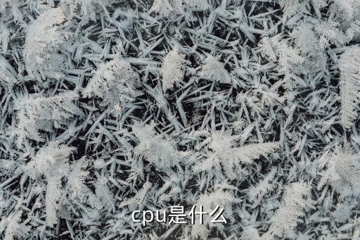 cpu是什么