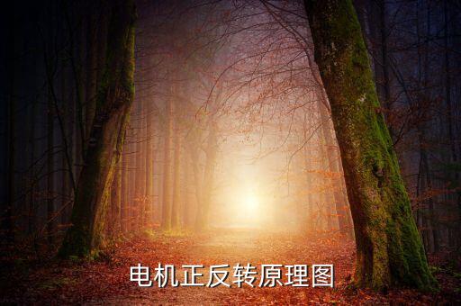 正反轉電路圖，急求一份電動機正反轉自動切換電路圖