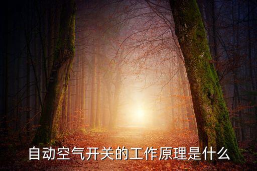自動空氣開關(guān)的工作原理是什么