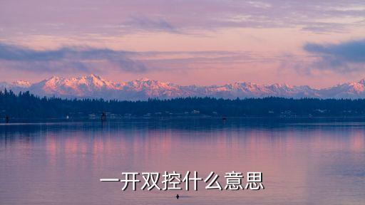 一開雙控什么意思