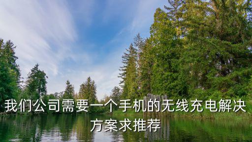 我們公司需要一個(gè)手機(jī)的無線充電解決方案求推薦