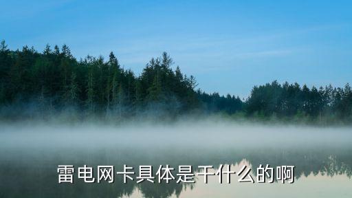 雷電網(wǎng)卡具體是干什么的啊